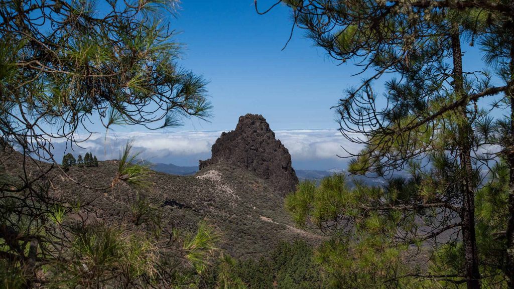 caldera-de-los-marteles-img_0607r