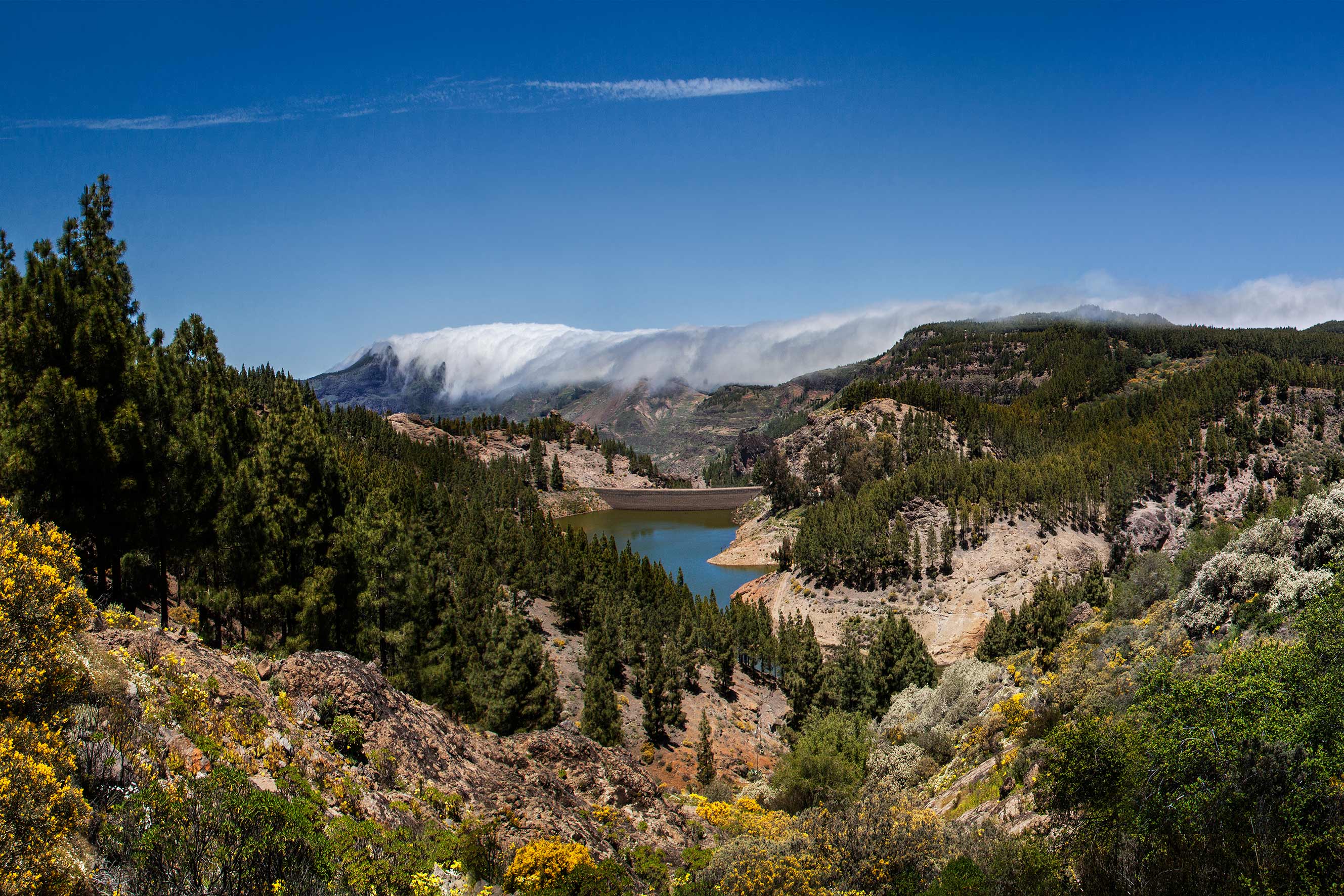 Canary Island Dams