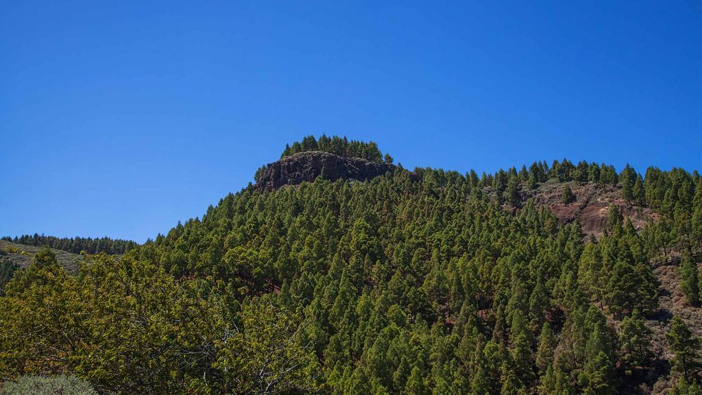 CALDERA-DE-LOS-MARTELES 007MG_0740Rcorreo