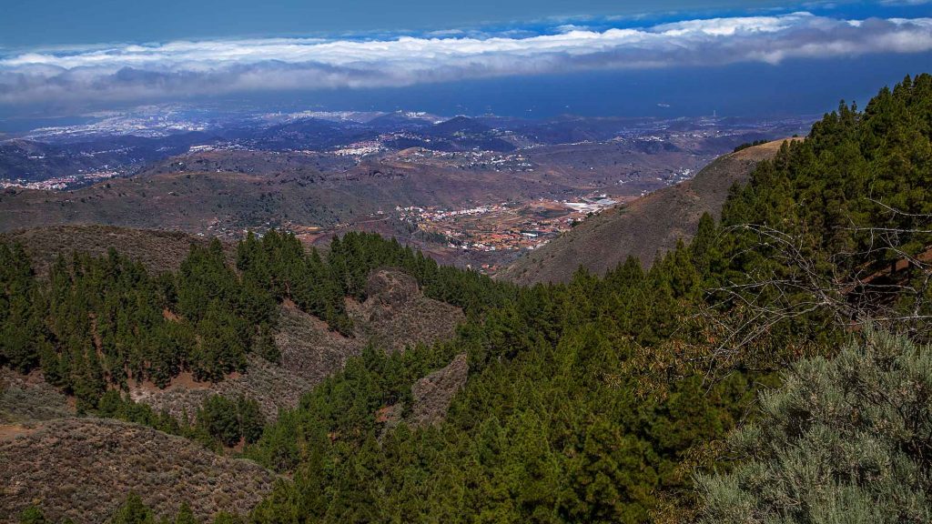 CALDERA-DE-LOS-MARTELES 009IMG_0718Rcorreo