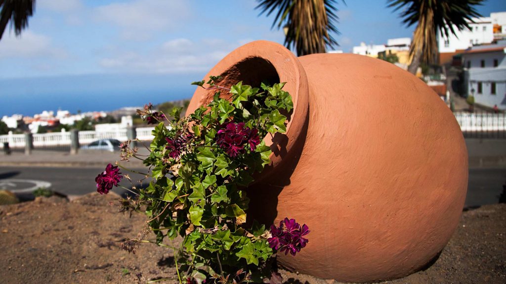 FIRGAS-IMG_9871R.1correo