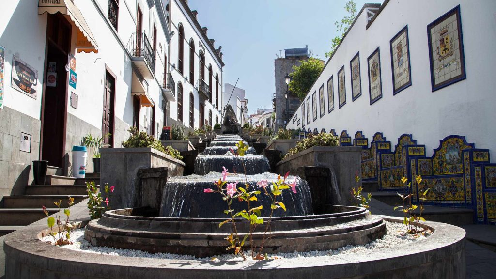 FIRGAS-IMG_9953Rcorreo