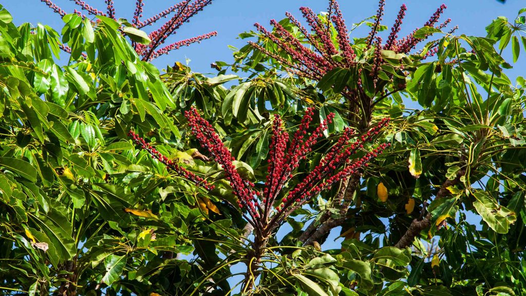 TELDE-IMG_0838Rcorreo