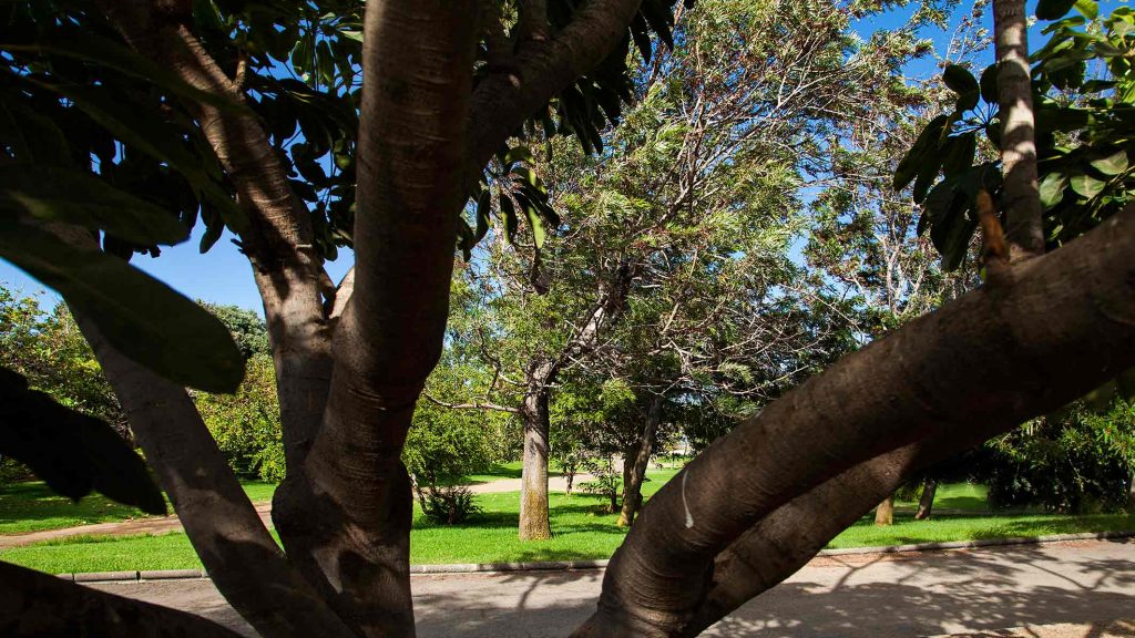 TELDE-IMG_0862Rcorreo